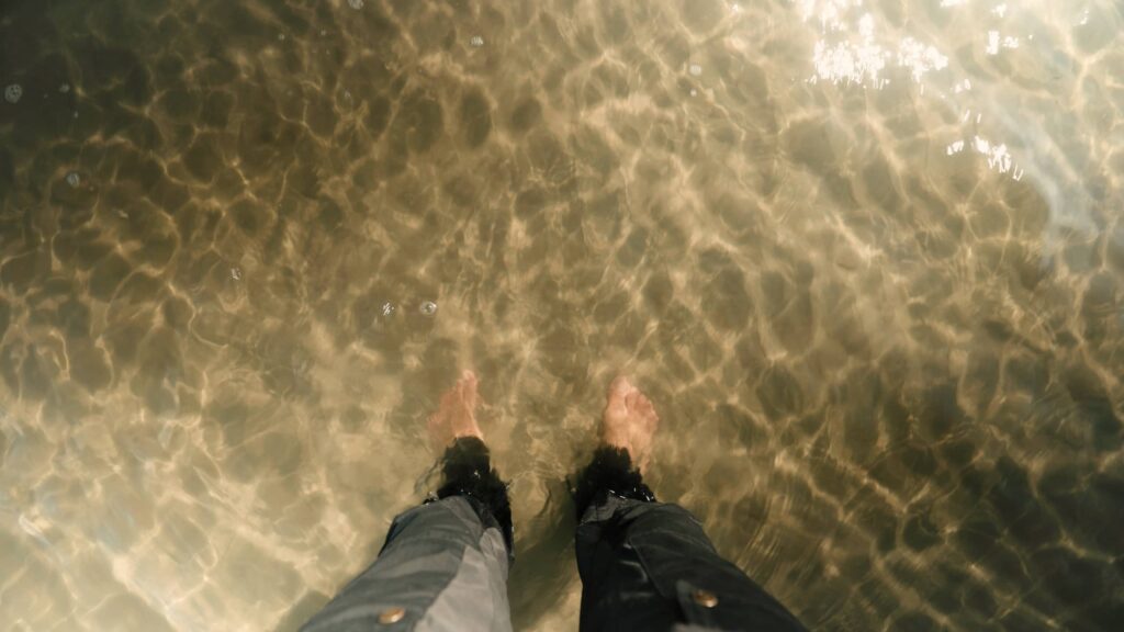 CineChefs-videoproductiebedrijf-Bever-3 Mini-serie Bever | CineChefs Videoproductiebedrijf