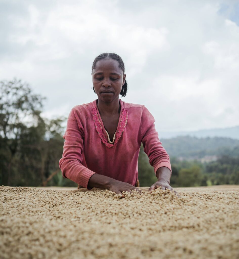 Cinechefs-Ethiopie-1 Videoproductie Ministerie van Buitelandse Zaken | CineChefs Videoproductiebedrijf